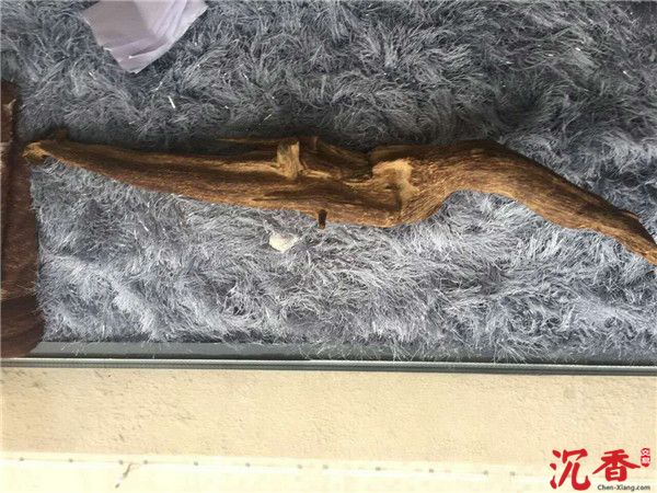典藏级整块奇楠925g品质完美油脂丰厚