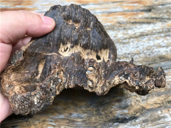 海南老琼脂沉香（极品）