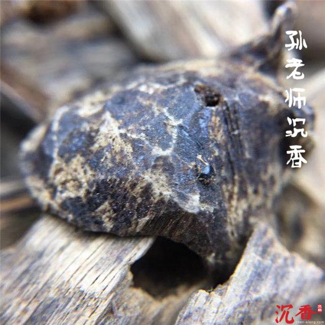 斯里兰卡沉香细节
